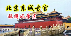 我想操逼被操视频中国北京-东城古宫旅游风景区